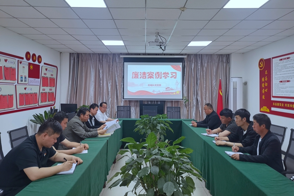 基層黨支部組織廉潔案例學習_副本.jpg