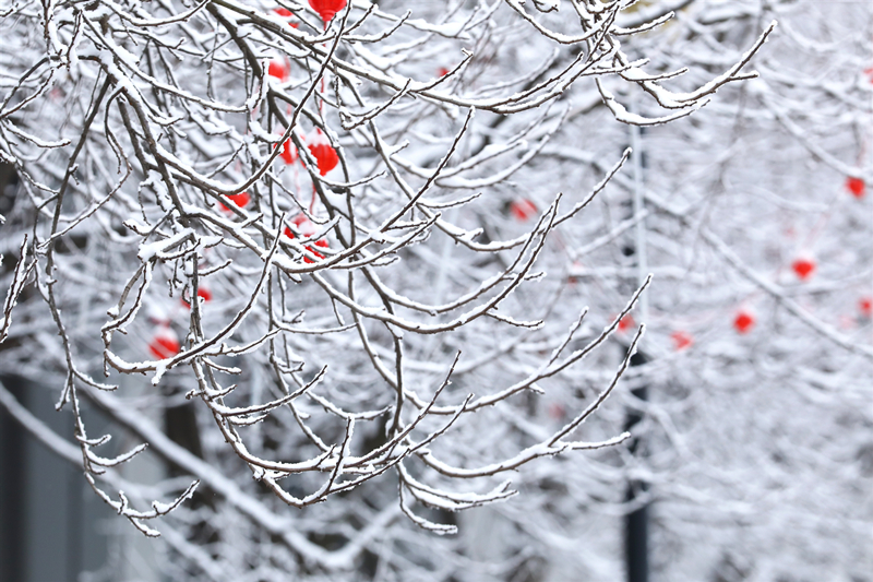 1705823572114631.jpg 1.jpg