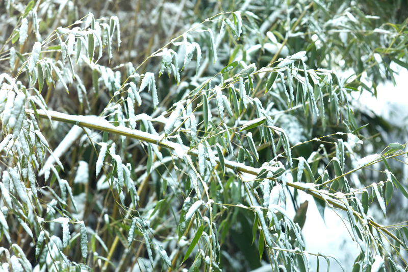 1705823611309533.jpg 4.jpg