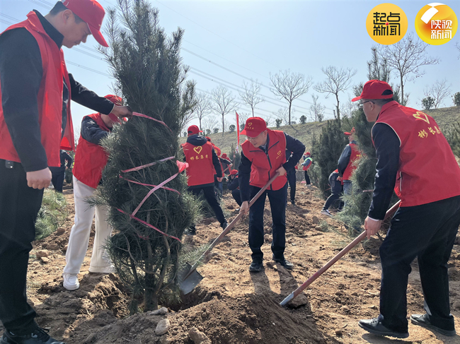 1710223323741870.jpg 0.jpg