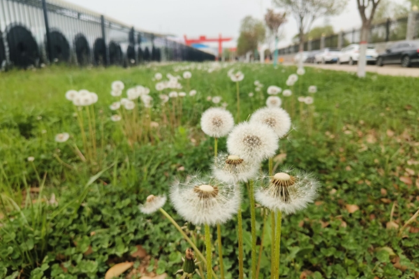 配圖 (2)_副本.jpg