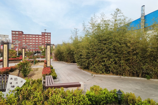 配圖 (3)_副本.jpg