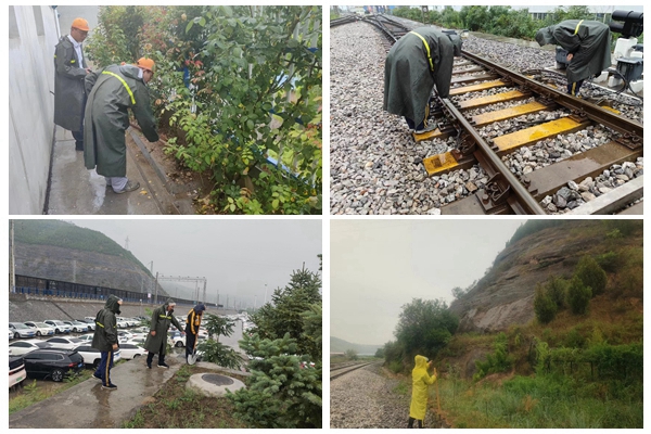 線路巡查_副本.jpg