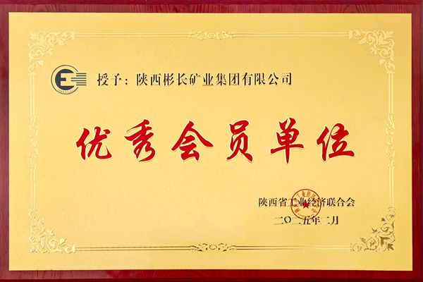 陜西省工業(yè)經(jīng)濟(jì)聯(lián)合會(huì)2024年度優(yōu)秀會(huì)員單位_副本.jpg