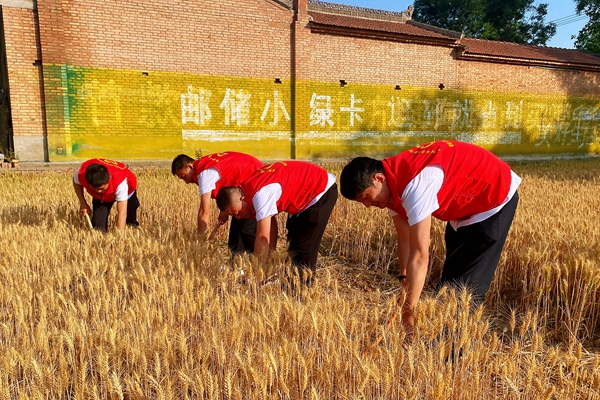 1749782538837259.jpg 1_副本.jpg