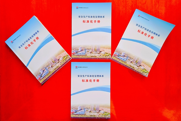 1 標(biāo)準(zhǔn)化手冊_副本.jpg