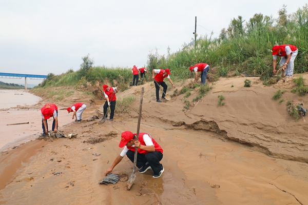 1766549664740661.jpg 3_副本.jpg