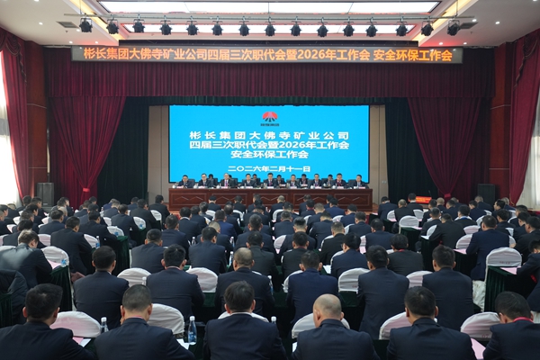 1771731428179296.jpg 1.jpg