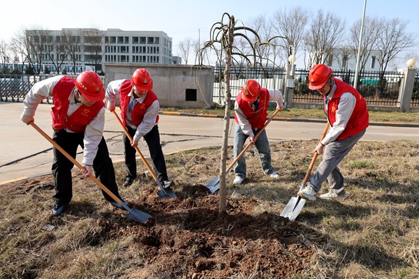 1773301342200947.jpg 發(fā)單.jpg