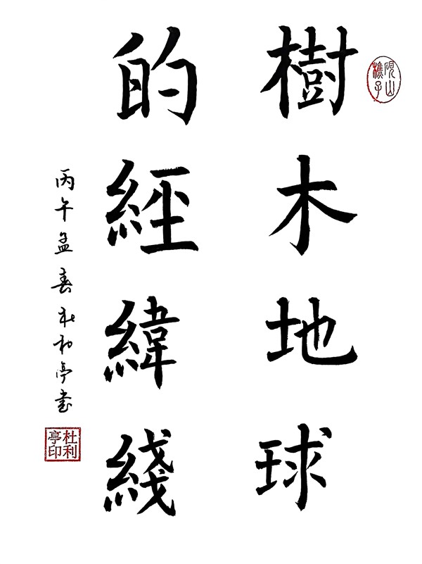 1773303098626974.jpg 樹(shù)木地球的經(jīng)緯線_副本.jpg