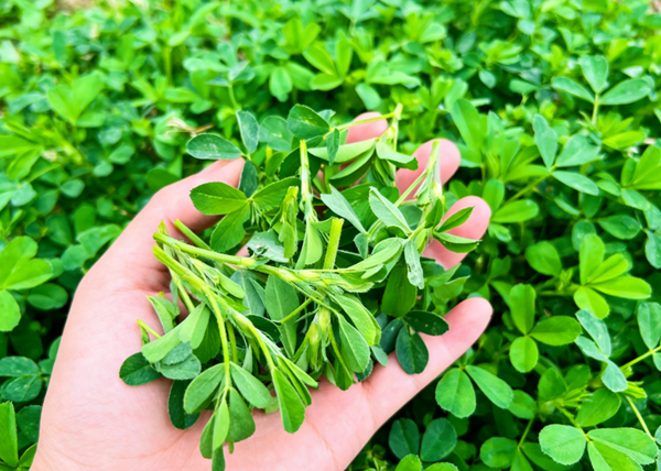 1774575063170743.png 640_副本.png