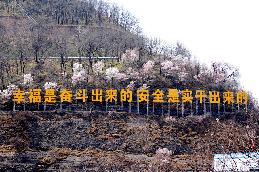 1775635346190851.jpg DSC07284_副本.jpg